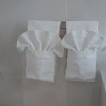 Il Ciuffo *